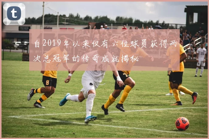 自2019年以来仅有六位球员获得两次总冠军的传奇成就揭秘